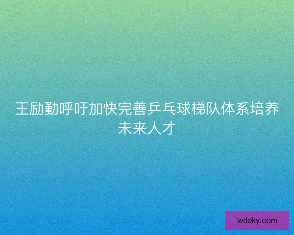 王励勤呼吁加快完善乒乓球梯队体系培养未来人才 王励勤呼吁加快完善乒乓球梯队体系培养未来人才