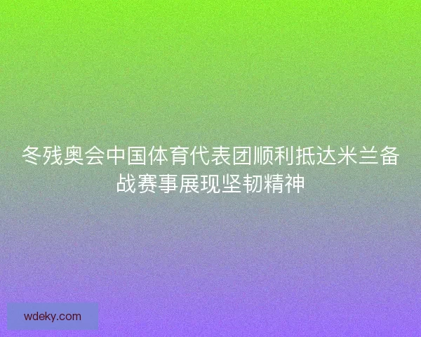 冬残奥会中国体育代表团顺利抵达米兰备战赛事展现坚韧精神 冬残奥会中国体育代表团顺利抵达米兰备战赛事展现坚韧精神