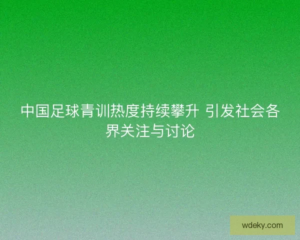 中国足球青训热度持续攀升 引发社会各界关注与讨论