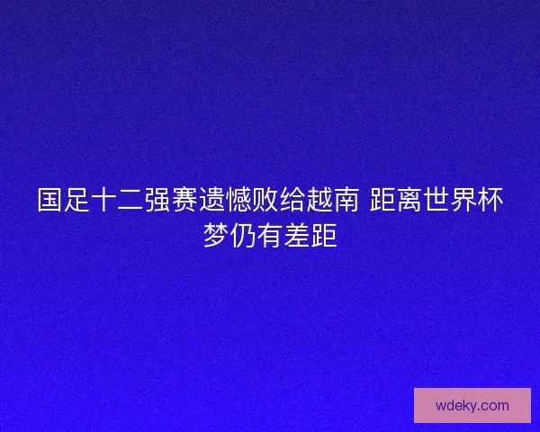 国足十二强赛遗憾败给越南 距离世界杯梦仍有差距 国足十二强赛遗憾败给越南 距离世界杯梦仍有差距